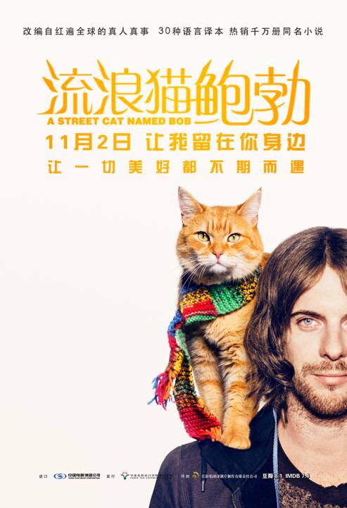 《流浪猫鲍勃》海报.jpg