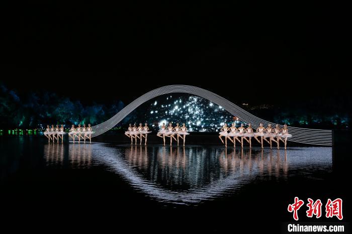 图为《天鹅湖》杭州印象西湖供图摄