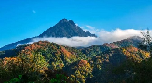 PG电子下载“五指山之夜”旅游美食推介会将在海口举办(图4)